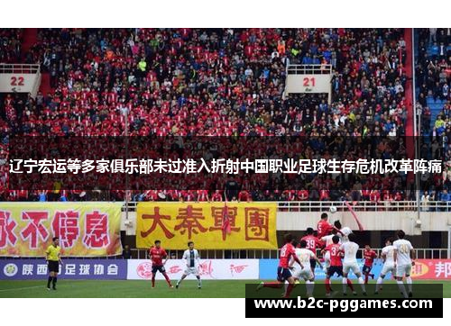 辽宁宏运等多家俱乐部未过准入折射中国职业足球生存危机改革阵痛